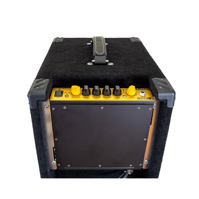 MARKBASS MINI MARK 802 N300 2X8 COMBO