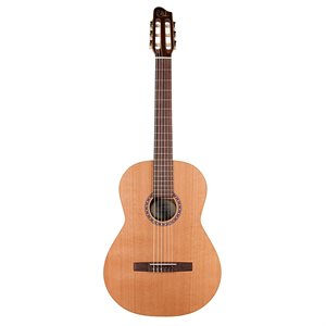 GODIN CONCERT 049646