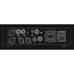 DARKGLASS ELECTRONICS ALPHA-OMEGA 900