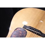 Boucher BG-42T-G Bluegrass Goose Torrefied Gold Touch Top Acoustic Guitar w/Case