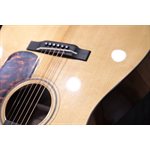 Boucher BG-42T-G Bluegrass Goose Torrefied Gold Touch Top Acoustic Guitar w/Case