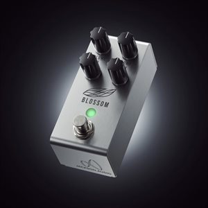 JACKSON.AUDIO BLOSSOM OPTICAL COMPRESSOR