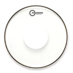 AQUARIAN CLASSIC CLEAR WITH POWER DOT 22