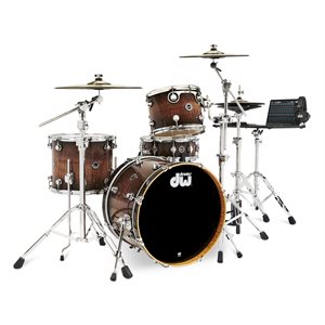 DWE 4-PIECE BUNDLE CURLY MAPLE BURST EXOTIC