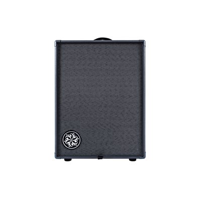 DARKGLASS DG210D 2X10 COMBO