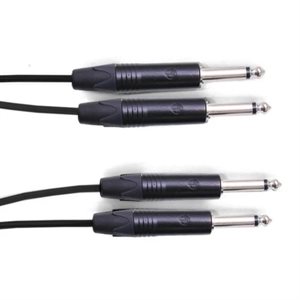 DIGIFLEX DPR-2P/2P-10 SUBSNAKE 2X 1/4 À 2X 1/4, 10 PIEDS