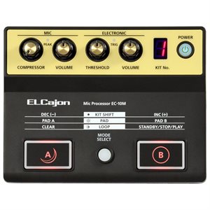 ROLAND EC-10M EL CAJON MIC PROCESSOR