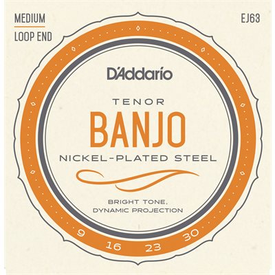 D'ADDARIO EJ63 TENOR BANJO, NICKEL, 9-30