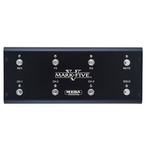 MESA BOOGIE MARK V