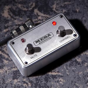 MESA BOOGIE SUBWAY TT-800