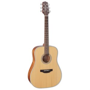 TAKAMINE GD20-NS