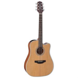 TAKAMINE GD20CE-NS
