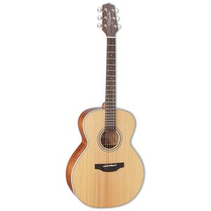 TAKAMINE GN20-NS