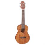 TAKAMINE GU-C1 CONCERT