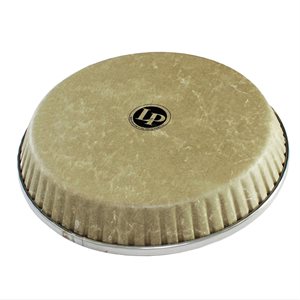 LP LP265AP HEADS 11.06 FIBERSKYN CONGA