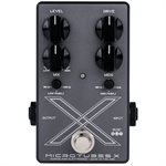 DARKGLASS ELECTRONICS MICROTUBES X