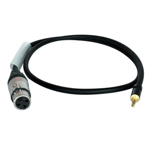 DIGIFLEX NKXF-6 1/8 MINI TRS TO XLRF, 6 FOOT
