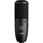 AKG P120 AKG P120
