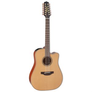 TAKAMINE P3DC-12