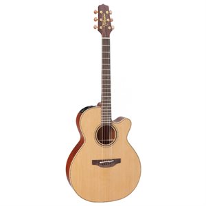 TAKAMINE P3NC W/CASE