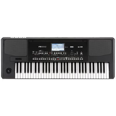KORG PA300