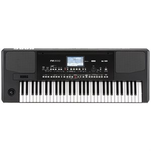 KORG PA300