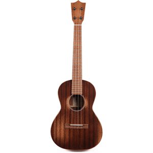 MARTIN T1 STREETMASTER GAUCHER