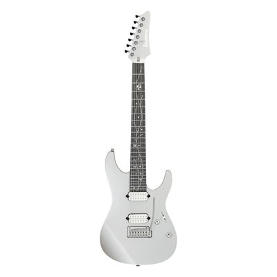 IBANEZ TIM HENSON SIGNATURE 7STR AVEC ÉTUI SOUPLE