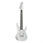 IBANEZ TIM HENSON SIGNATURE 7STR AVEC ÉTUI SOUPLE