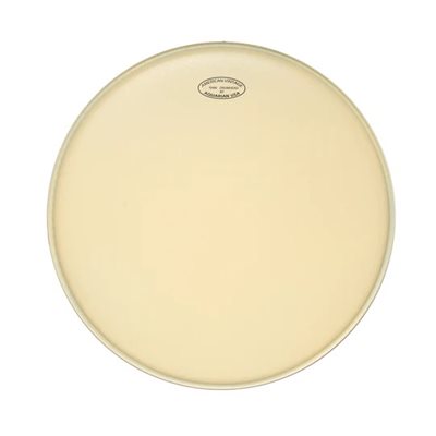 AQUARIAN AMERICAN VINTAGE THIN TOM 10